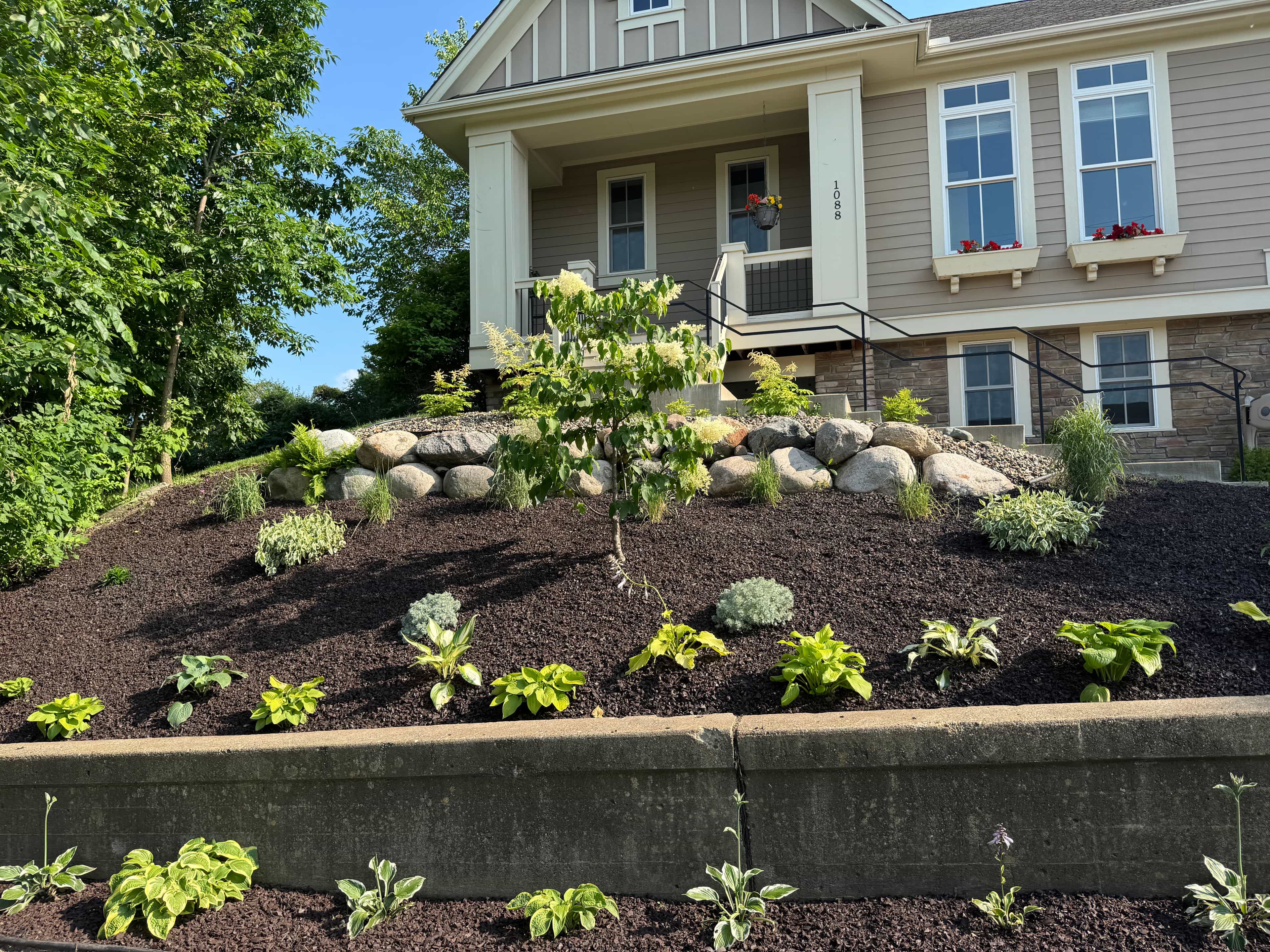 Hero image for Elevate Lawns