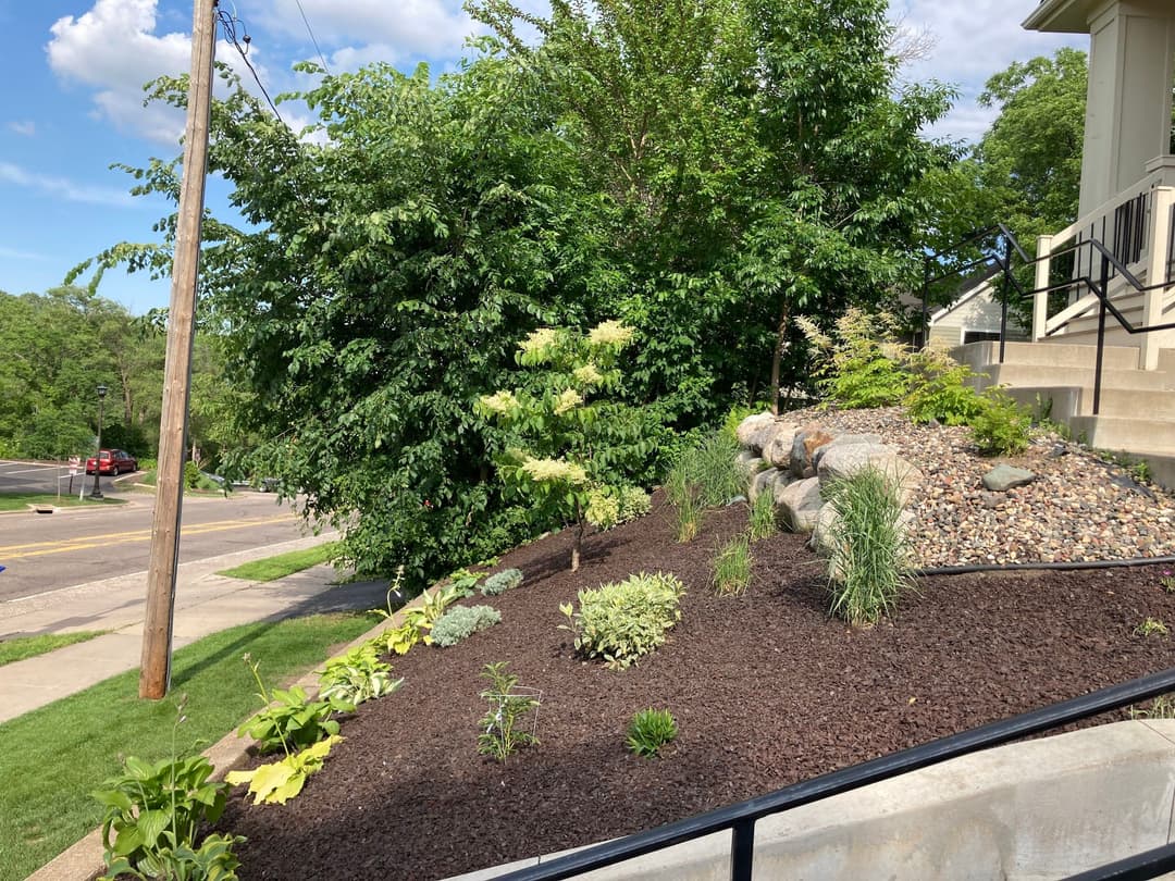 Modern home with landscaped yard, green grass, and trees under a cloudy sky.