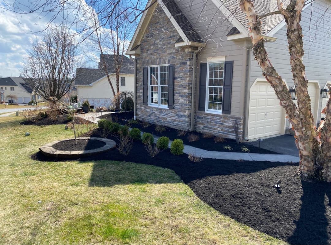 Modern home exterior with stone facade, landscaped garden, and fresh mulch in sunny neighborhood.