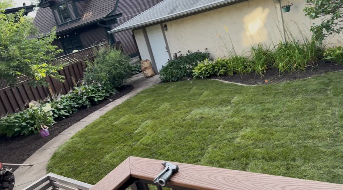 Fresh Kentucky Bluegrass Sod and Mulched Beds Make This Backyard Shine