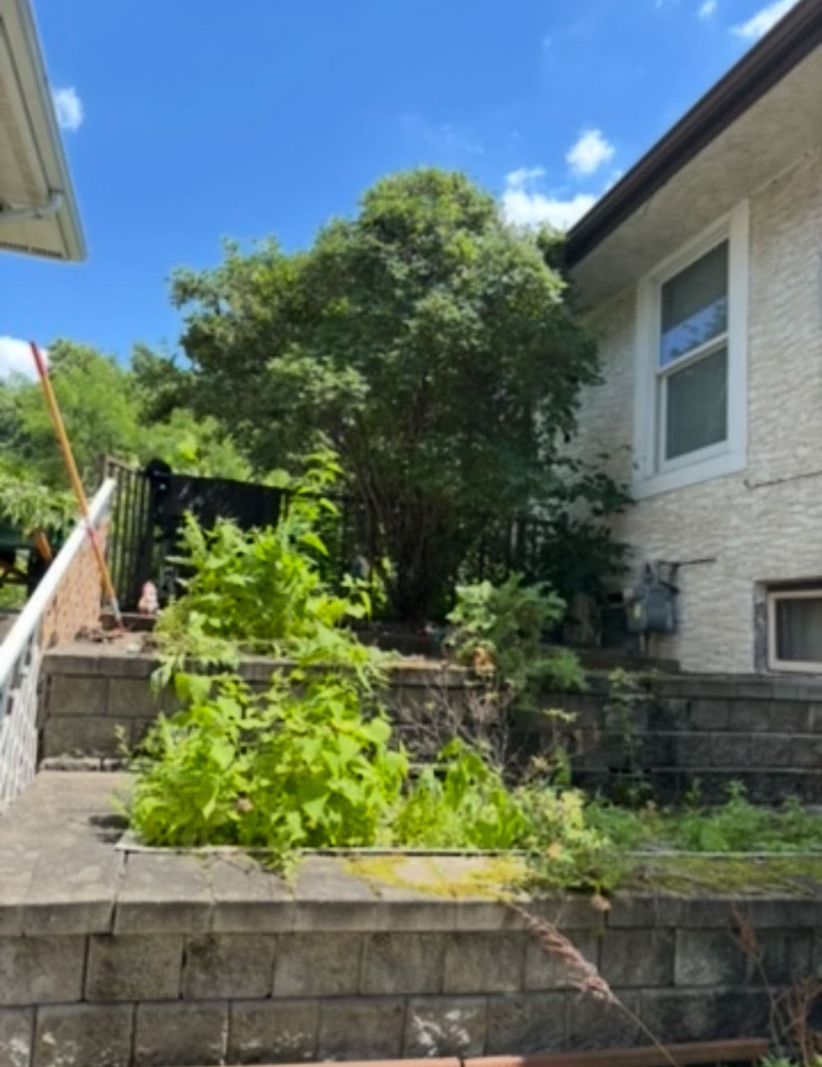 Revamping Retaining Walls and Shrub Cleanup