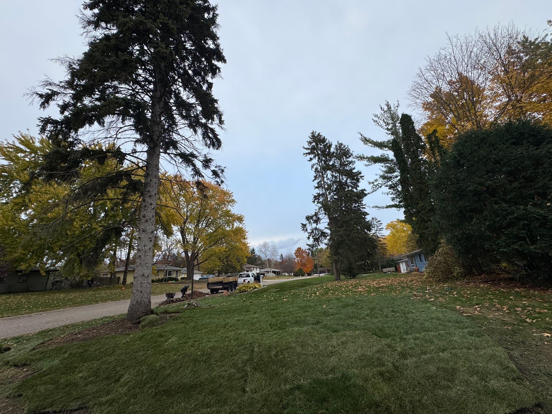 Fall Yard Transformation with Elevate Lawns