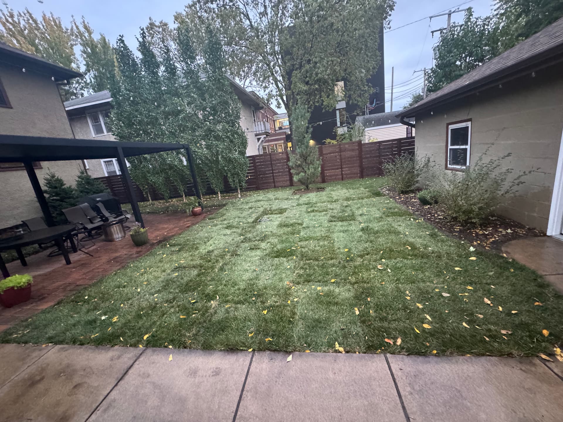 Gallery photos for Snowy Yard Transformed into Lush Lawn in Minneapolis: Image #1