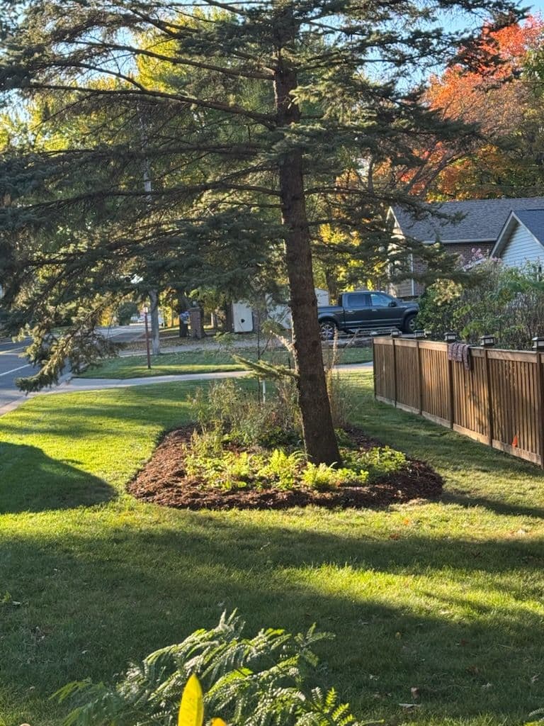 Beautiful Yard Enhancement in St. Paul