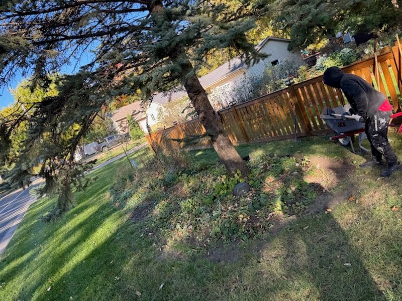 Gallery photos for Beautiful Yard Enhancement in St. Paul: Image #1