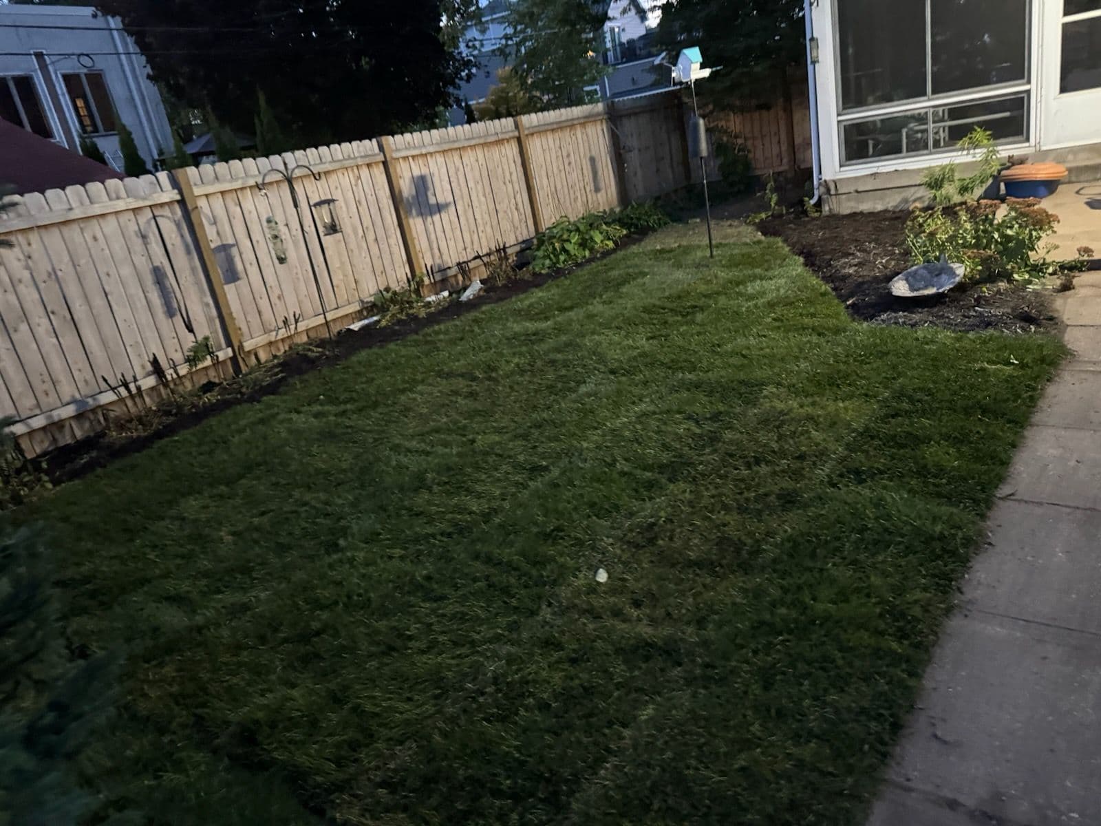 Fresh Sod Installation Transforms Backyard