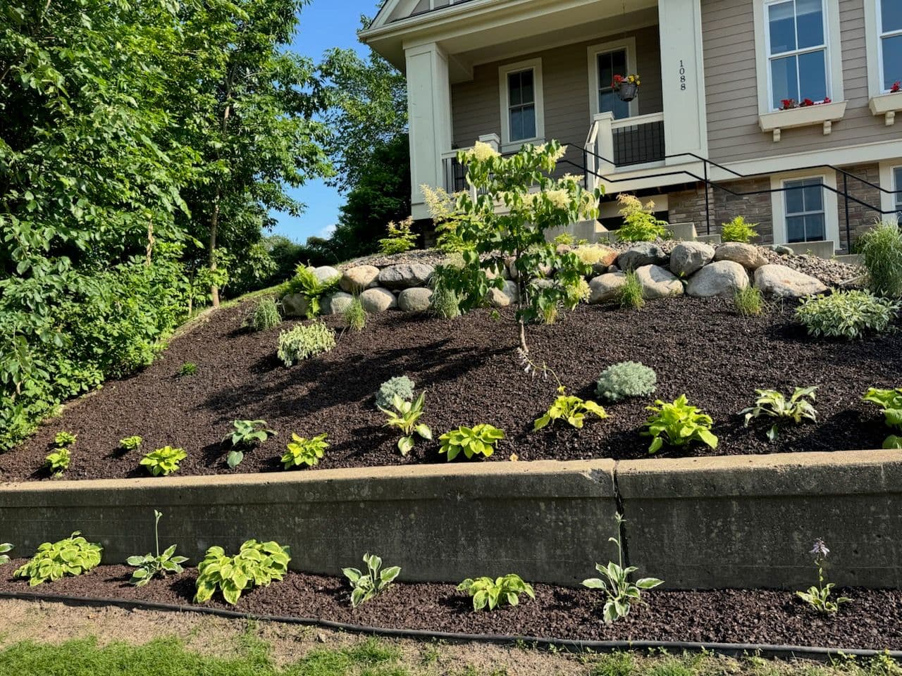 Transform Your Garden with Vibrant Landscape Design