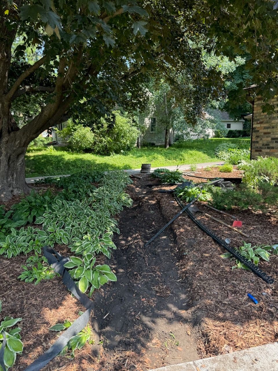 Thriving Landscapes with Custom Walkways