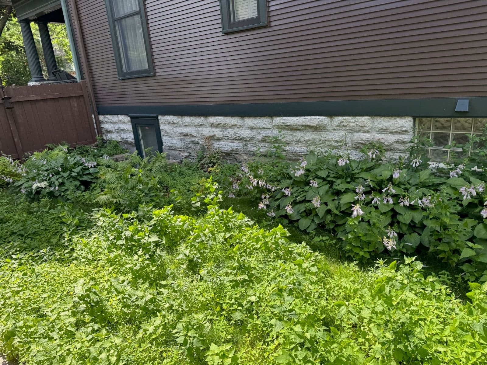 Garden Transformation Success in South Minneapolis image