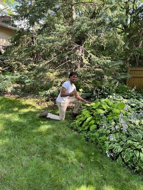 Elevate Lawns Revitalizes South Minneapolis Garden image