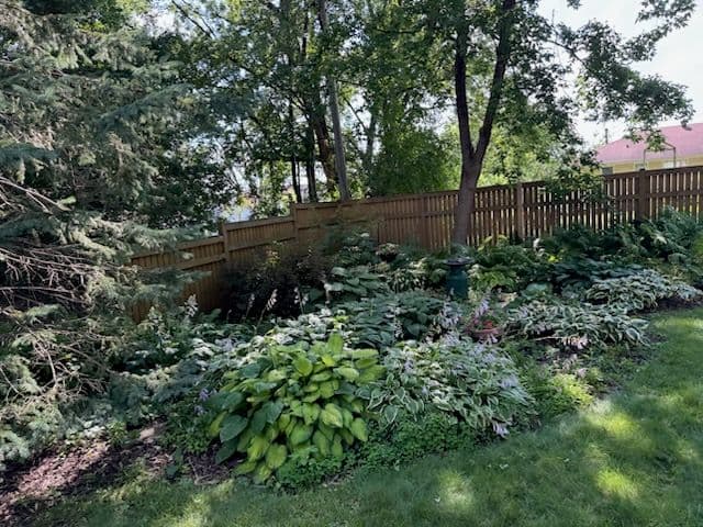 Gallery photos for Elevate Lawns Revitalizes South Minneapolis Garden: Image #1