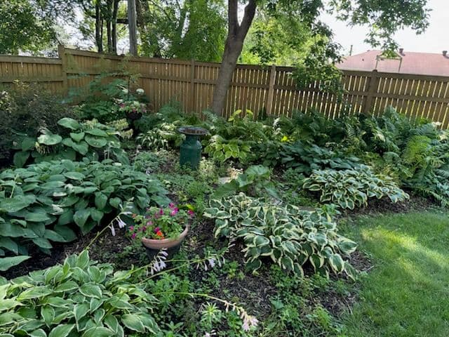 Gallery photos for Elevate Lawns Revitalizes South Minneapolis Garden: Image #2