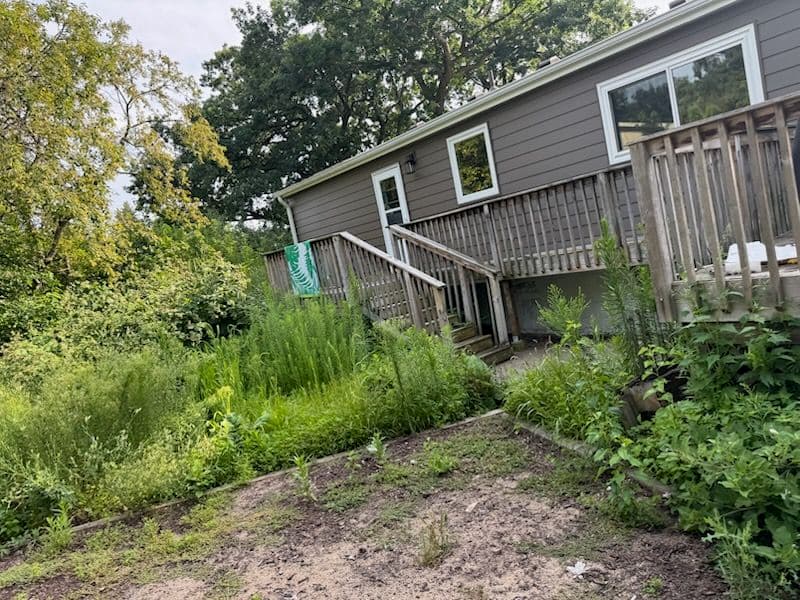 Project Golden Valley Lawn Transformation Showcase image