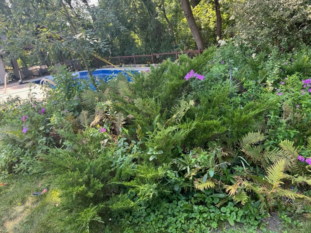 Gallery photos for Garden Transformation with Cypress Mulch Magic: Image #3