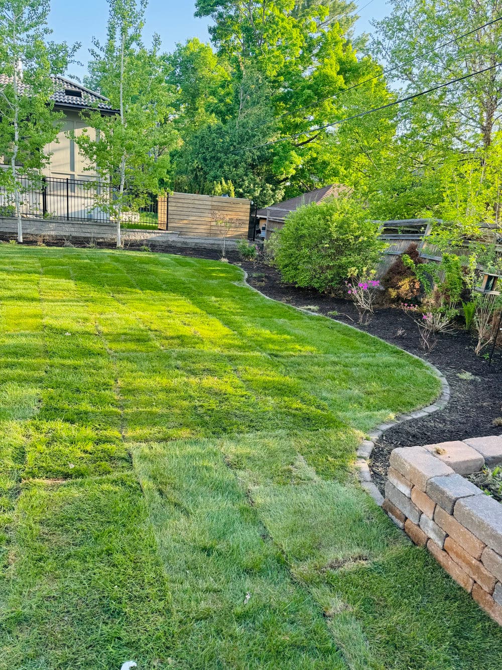 Lush green lawn with curved pathway and bordered flower beds in a landscaped backyard.